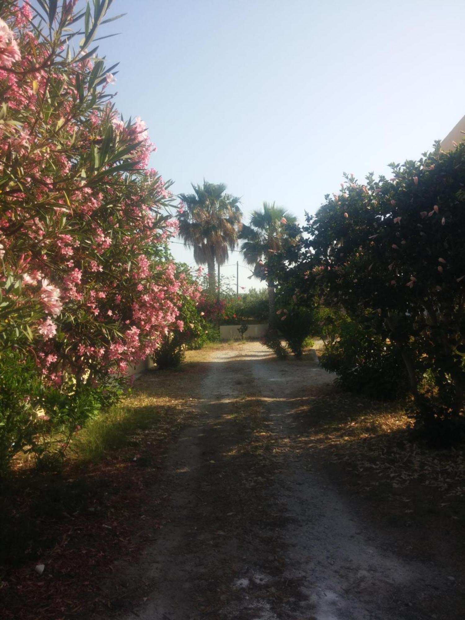 Ζini 2 Villa Kéfalos Buitenkant foto