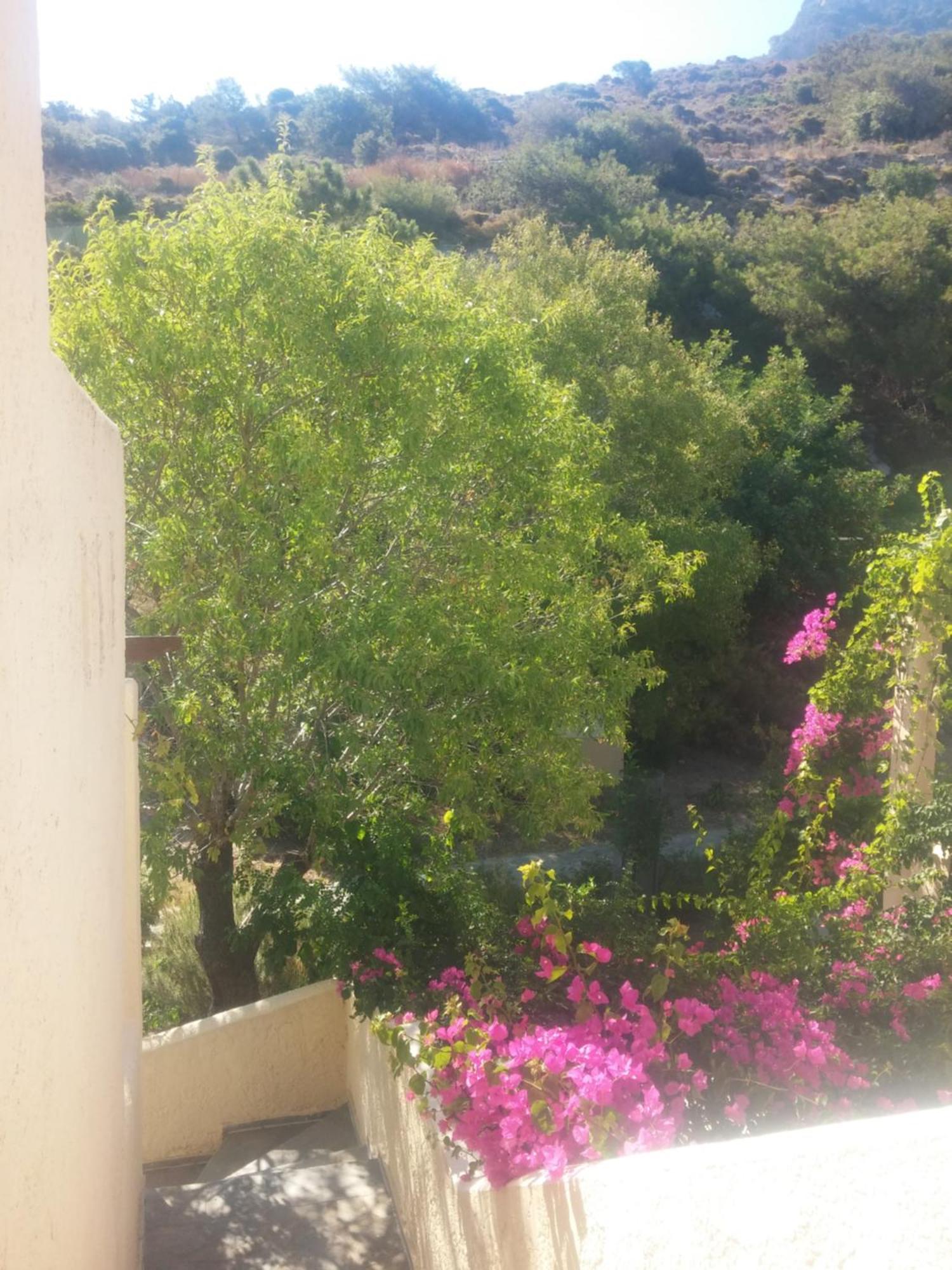 Ζini 2 Villa Kéfalos Buitenkant foto